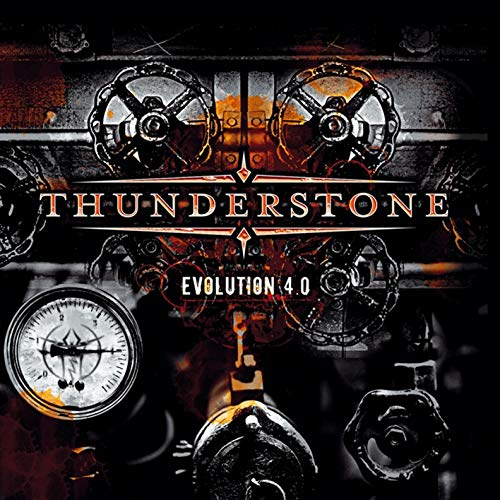 Album cover art for "Face In The Mirror" by Thunderstone