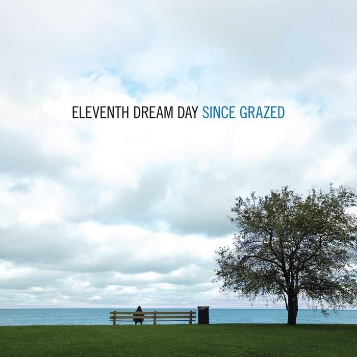 Yves Klein Blues by Eleventh Dream Day