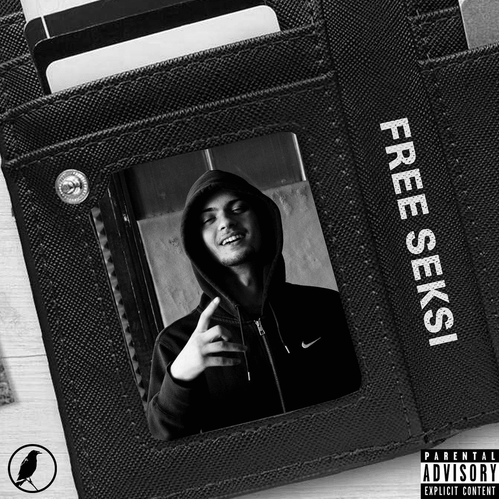 Cover image for FREE SEKSI