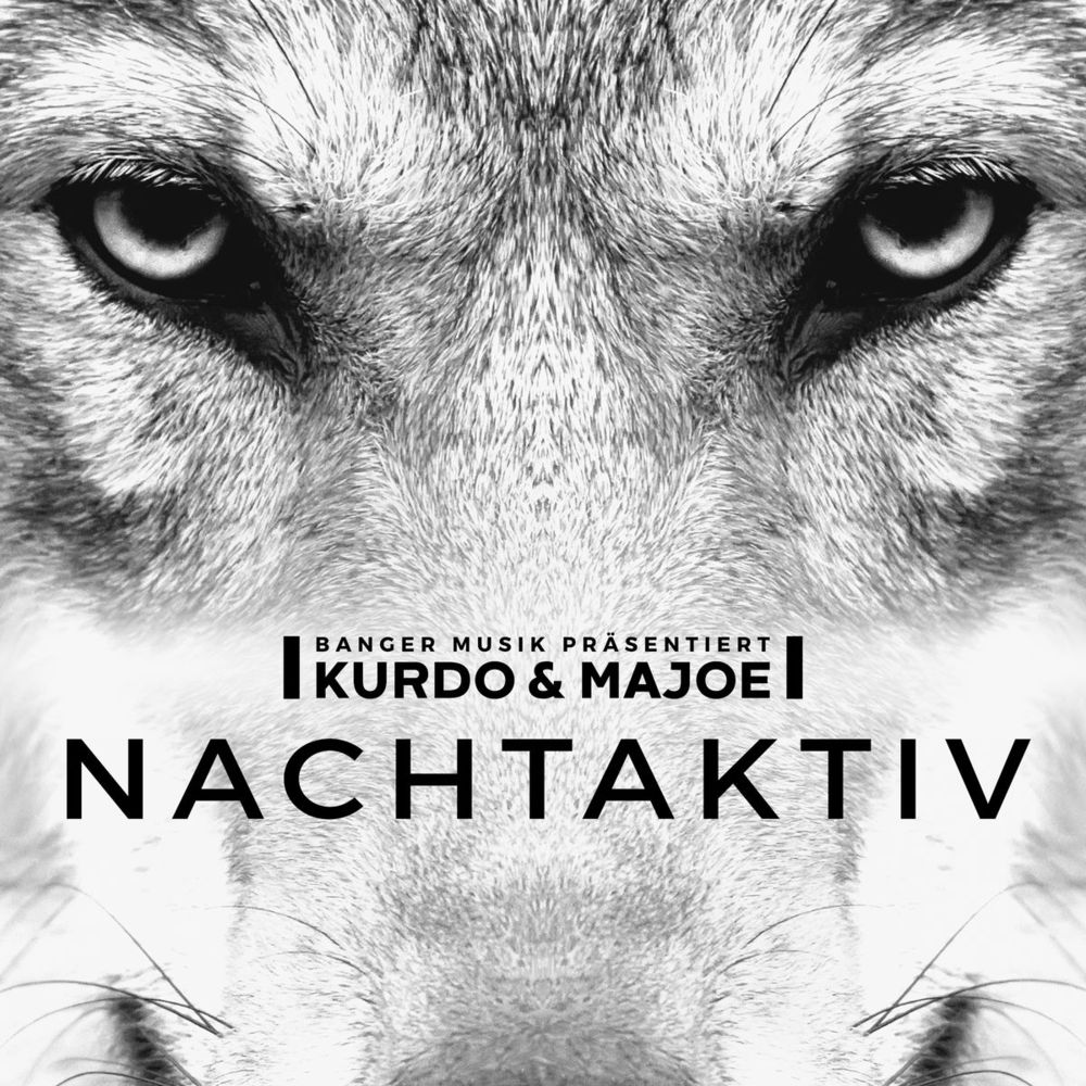 Album cover art for "Nachtaktiv" by Kurdo