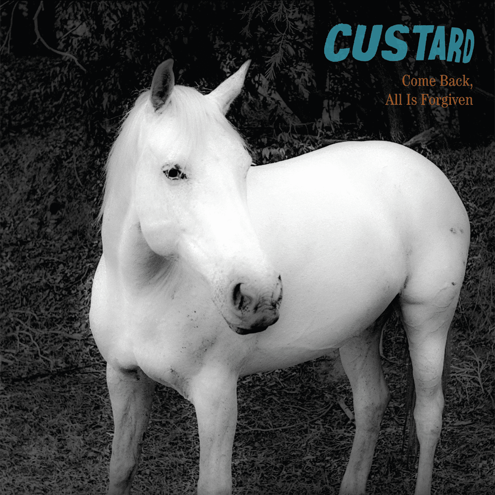 Warren Rd by Custard