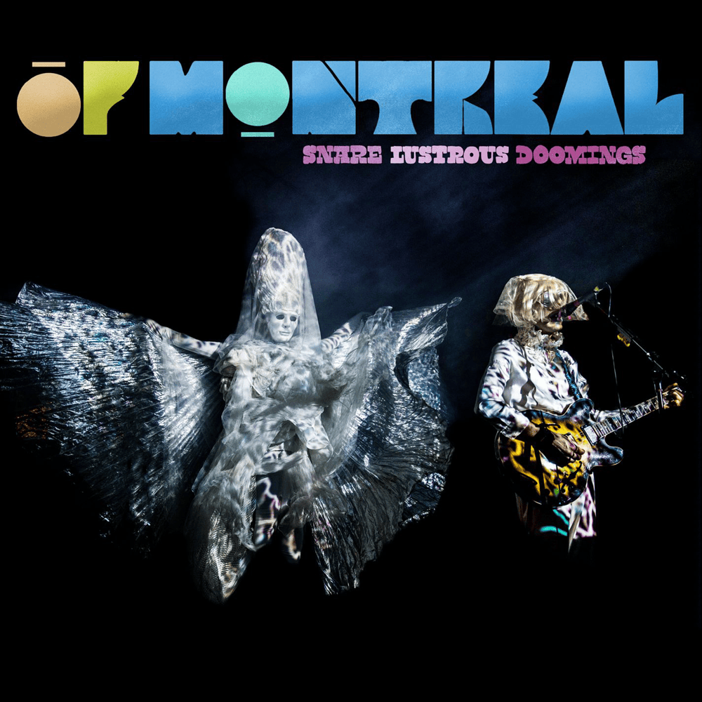 Cover image for Snare Lustrous Doomings