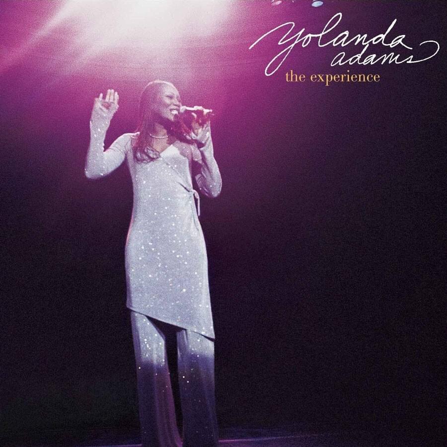 Cover image for The Experience