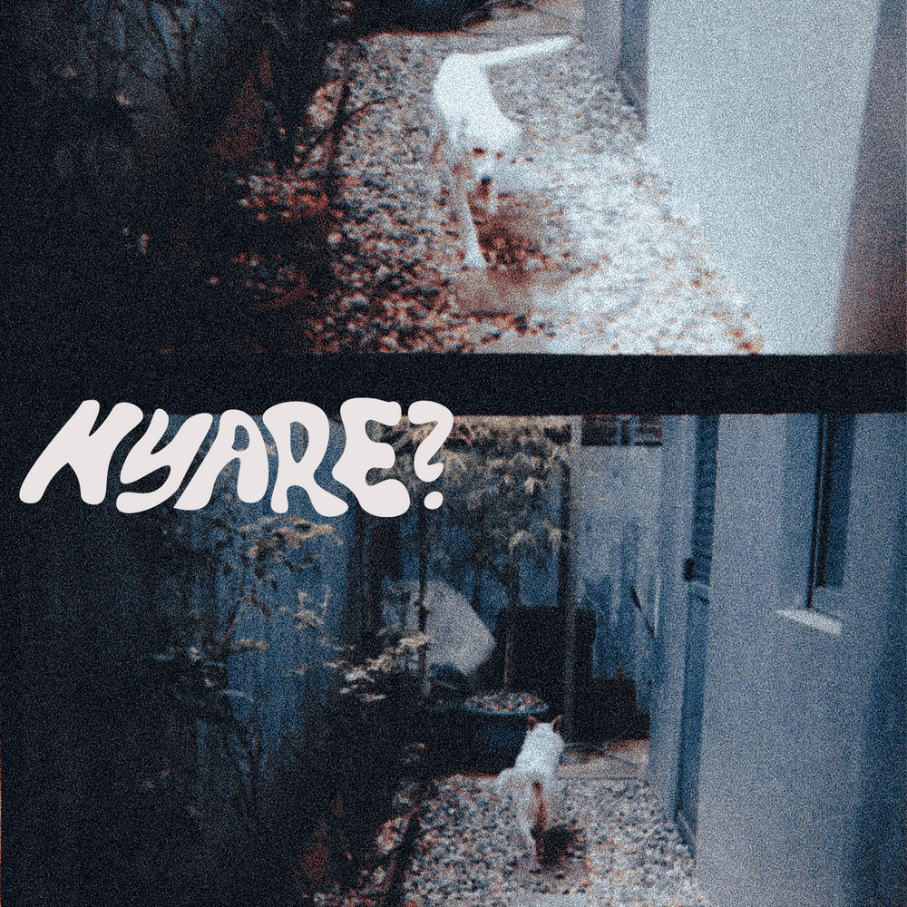 Album cover art for "Nyare?" by Sandwich