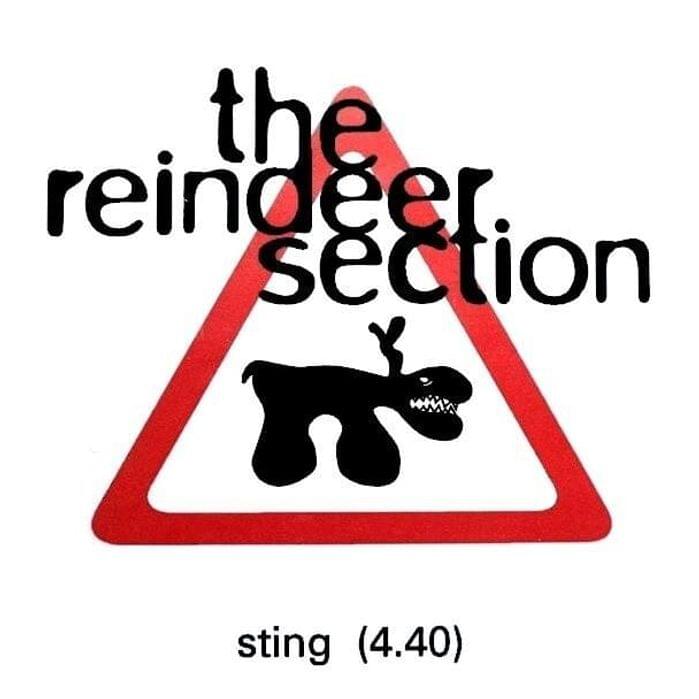 Album cover art for "Sting" by The Reindeer Section