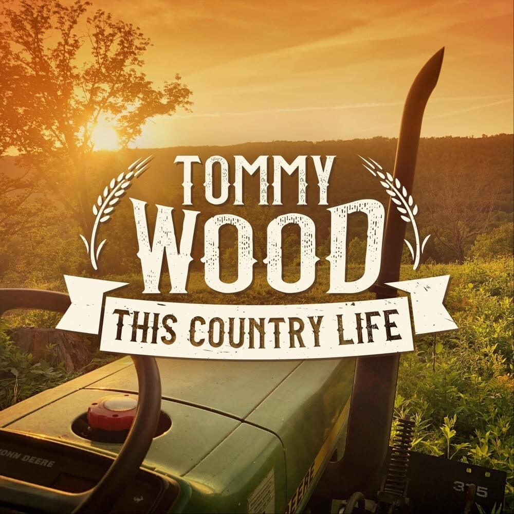 Cover image for This Country Life