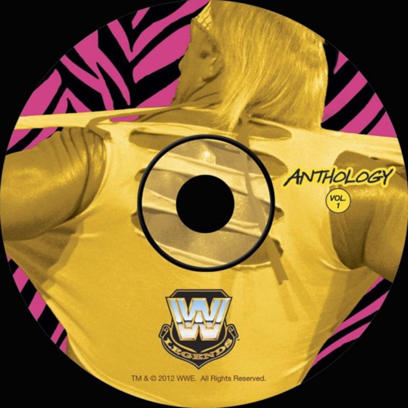 Cover image for WWE Anthology: Disc One - The Federation Years