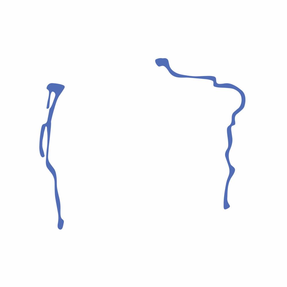 Cover image for social justice whatever