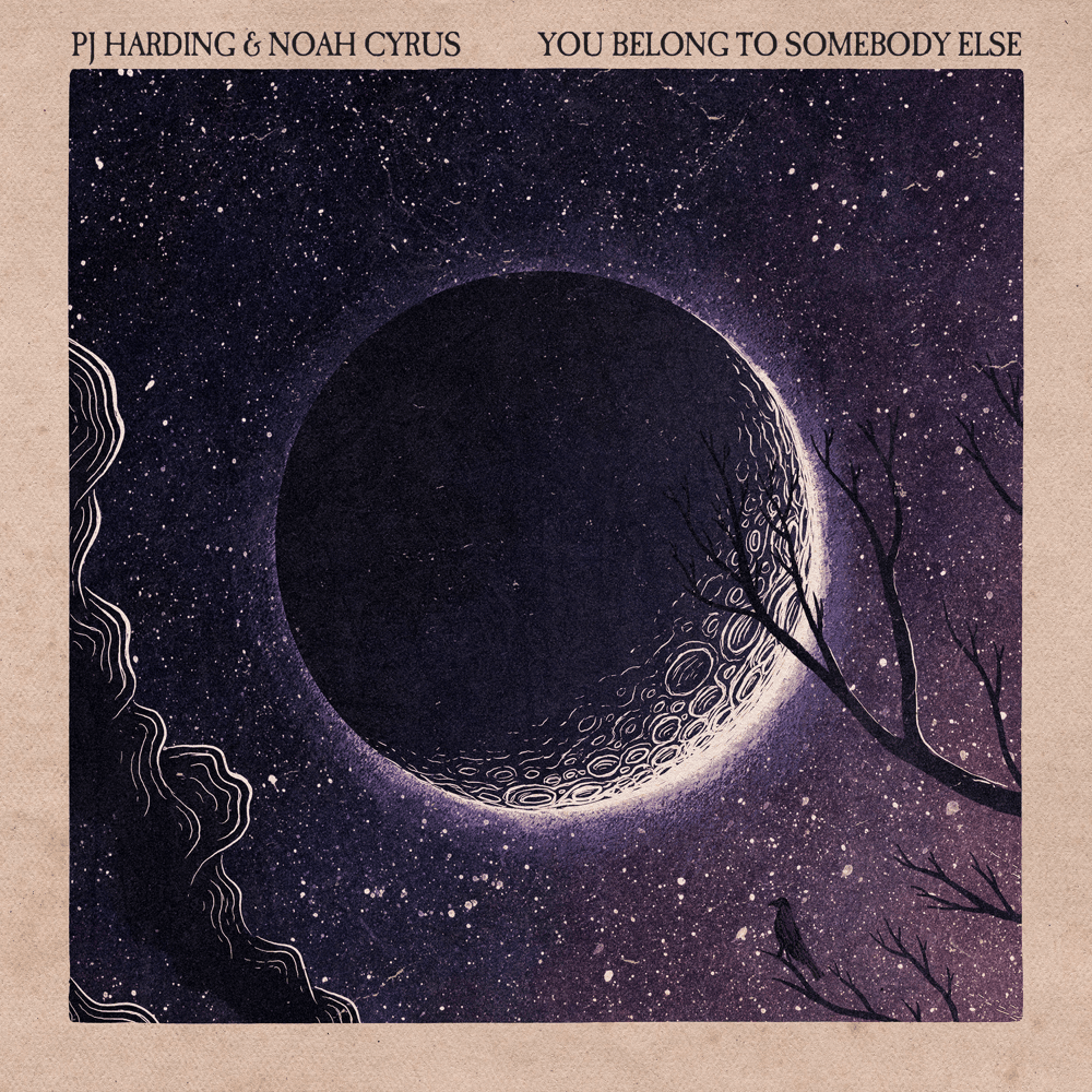 You Belong to Somebody Else by PJ Harding