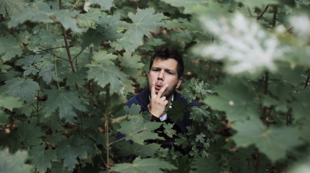 Album cover art for "Storch oder Affen" by MC Bomber