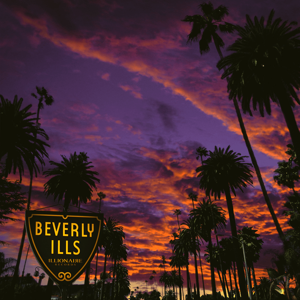 Beverly 1lls remix by Dok2