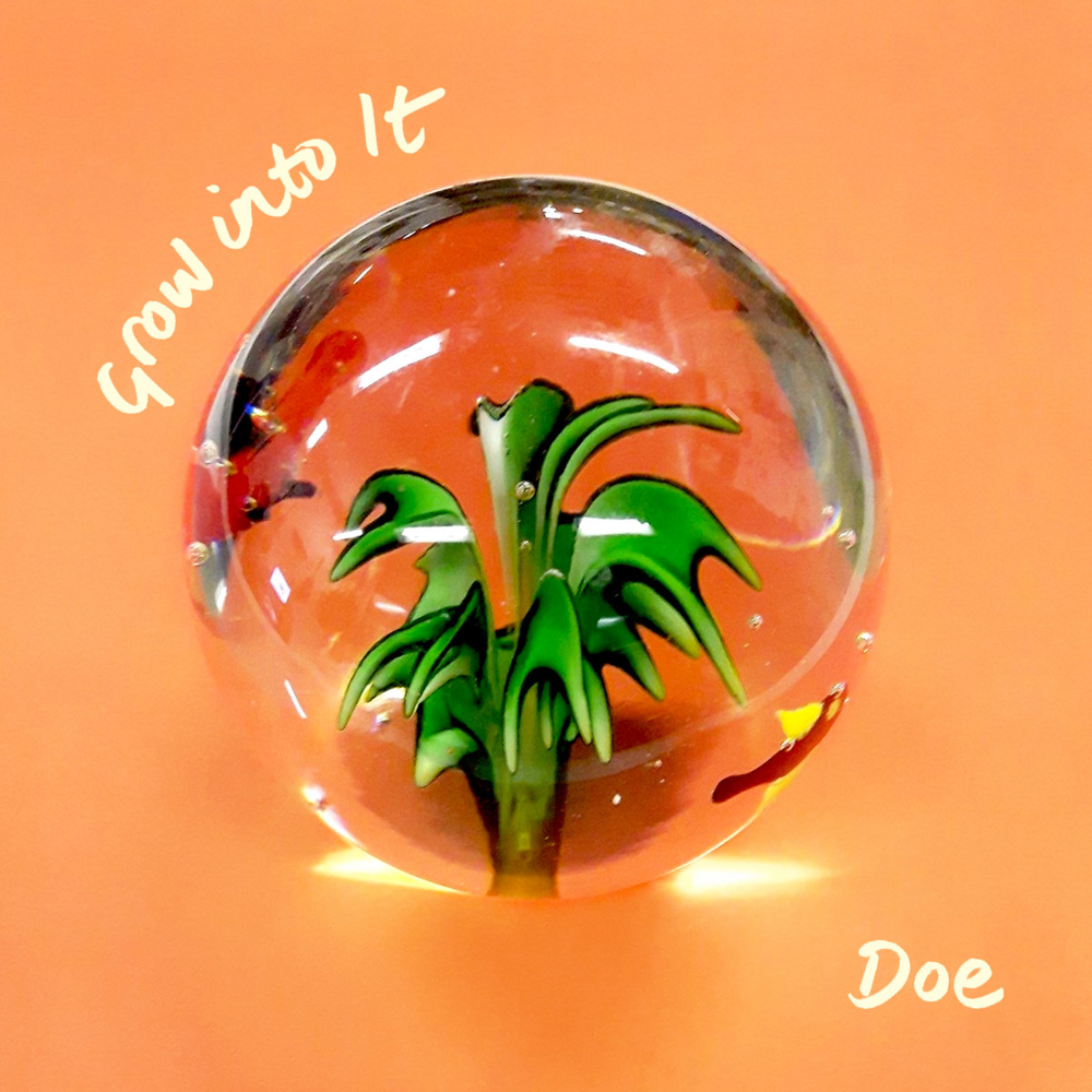 Album cover art for "Team Spirit" by Doe (Band)