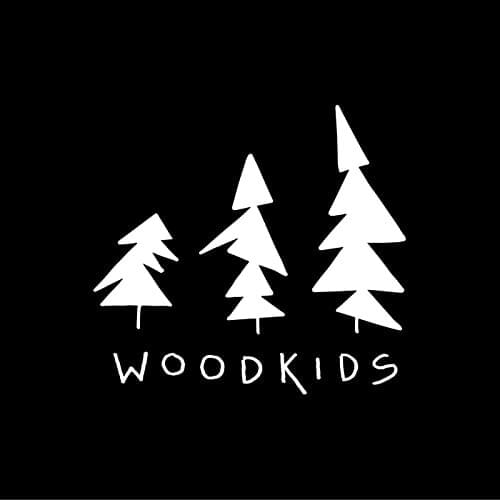 Cover image for Woodkids