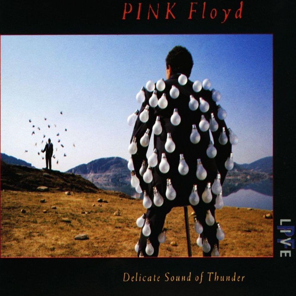 Album cover art for "Learning to Fly (Live at Nassau Coliseum, 19th-23rd August 1988)" by Pink Floyd
