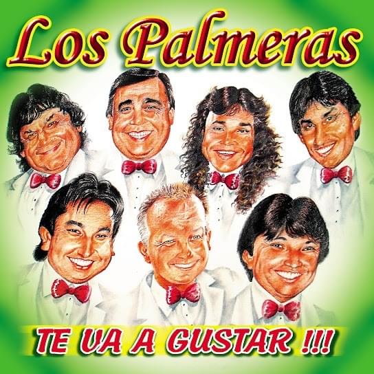 Como Deseo Ser Tu Amor by Los Palmeras