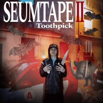 Cover image for SEUMTAPE 2