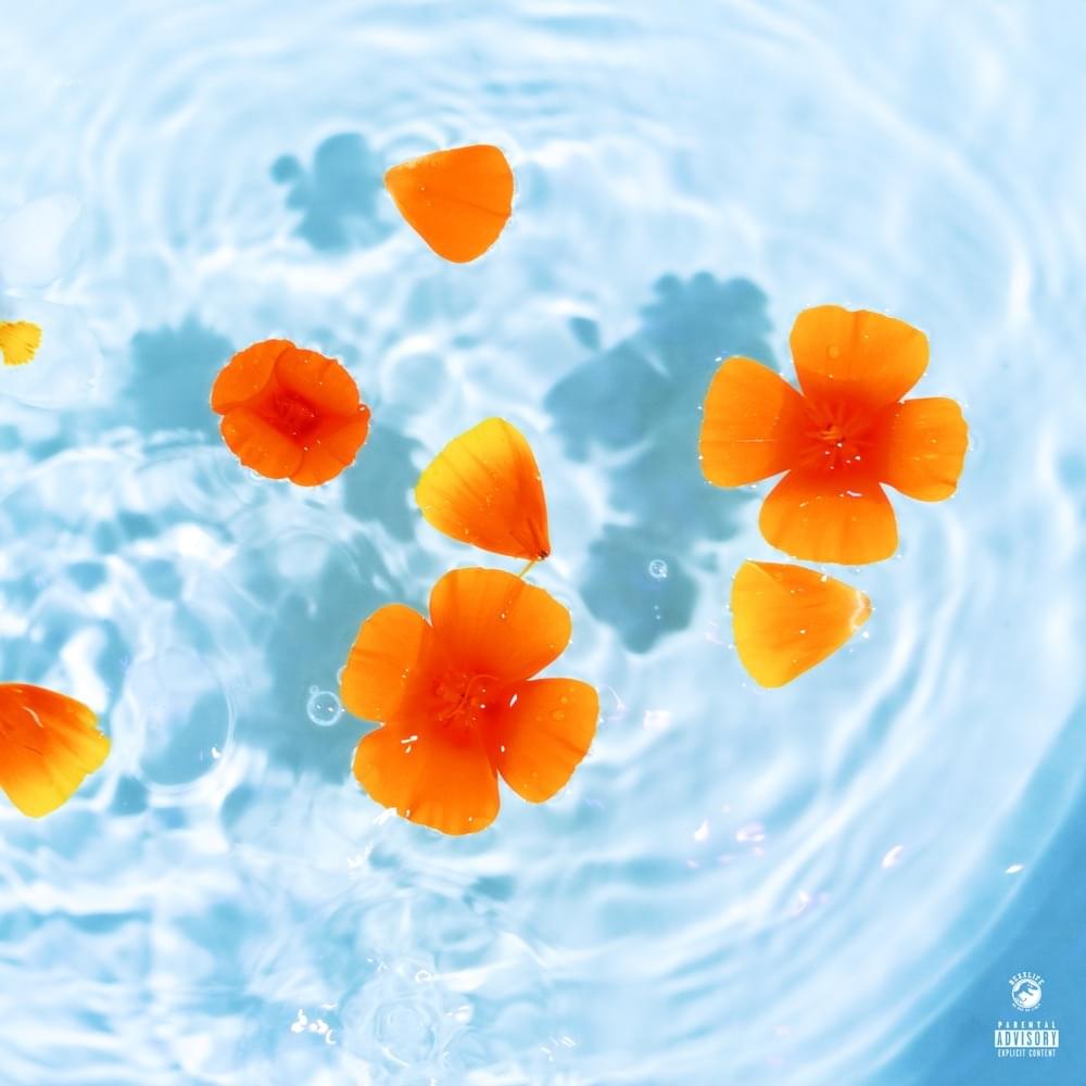 Album cover art for "Cleanse" by Rexx Life Raj