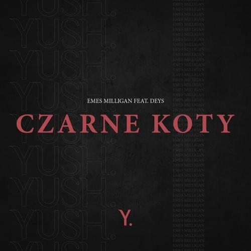 Album cover art for "CZARNE KOTY" by Emes Milligan & Deys