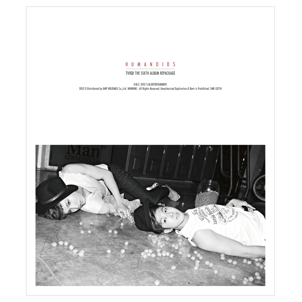 Cover image for Humanoids
