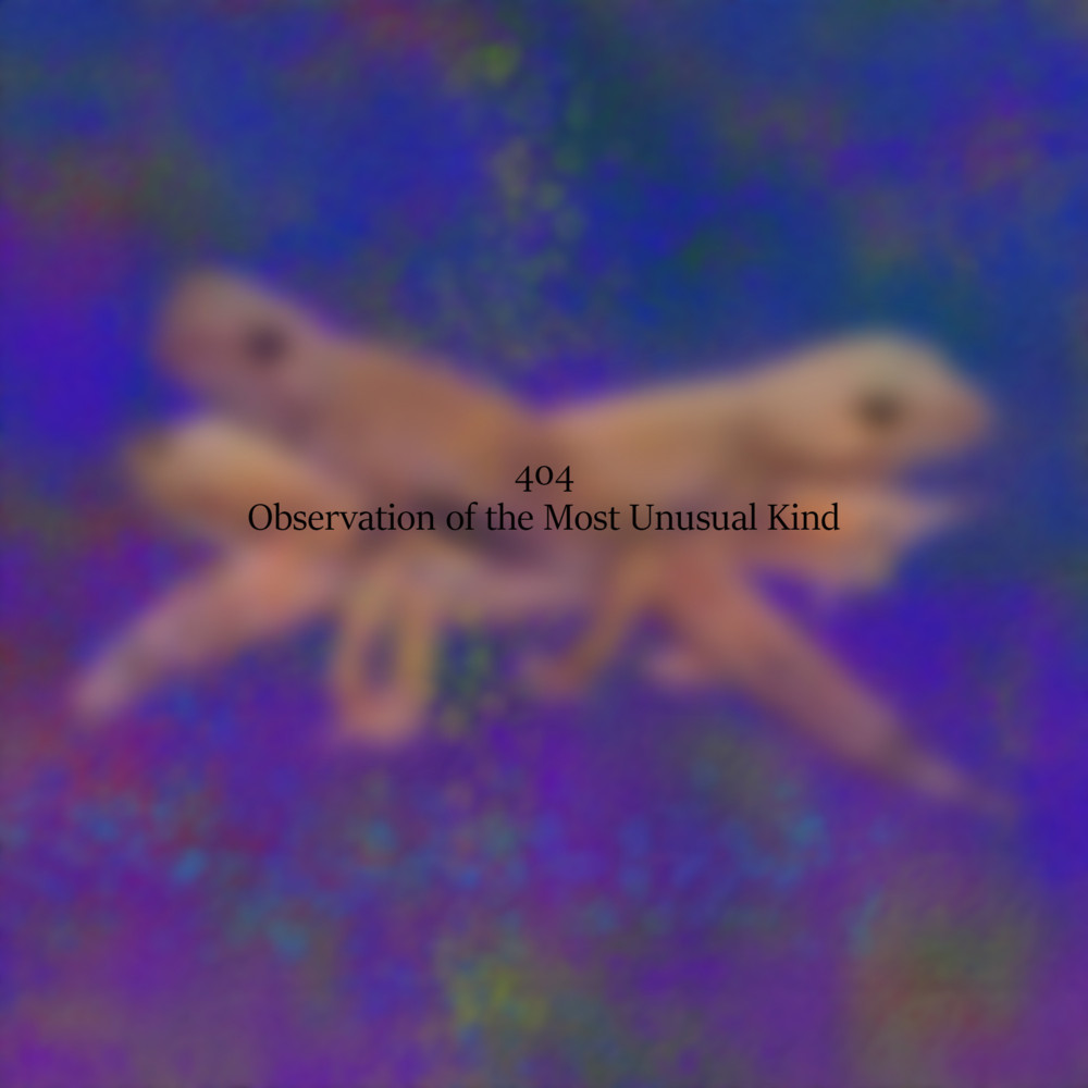 Cover image for Observation of the Most Unusual Kind - Single