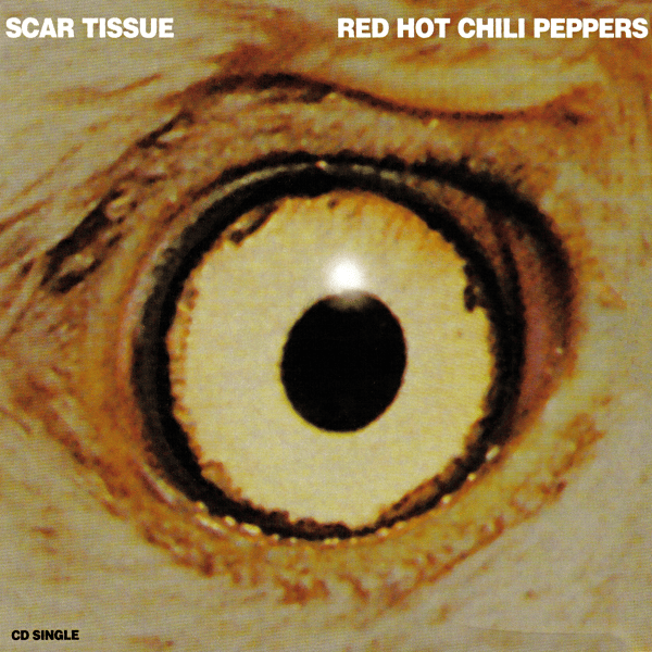 Album cover art for "Scar Tissue" by Much