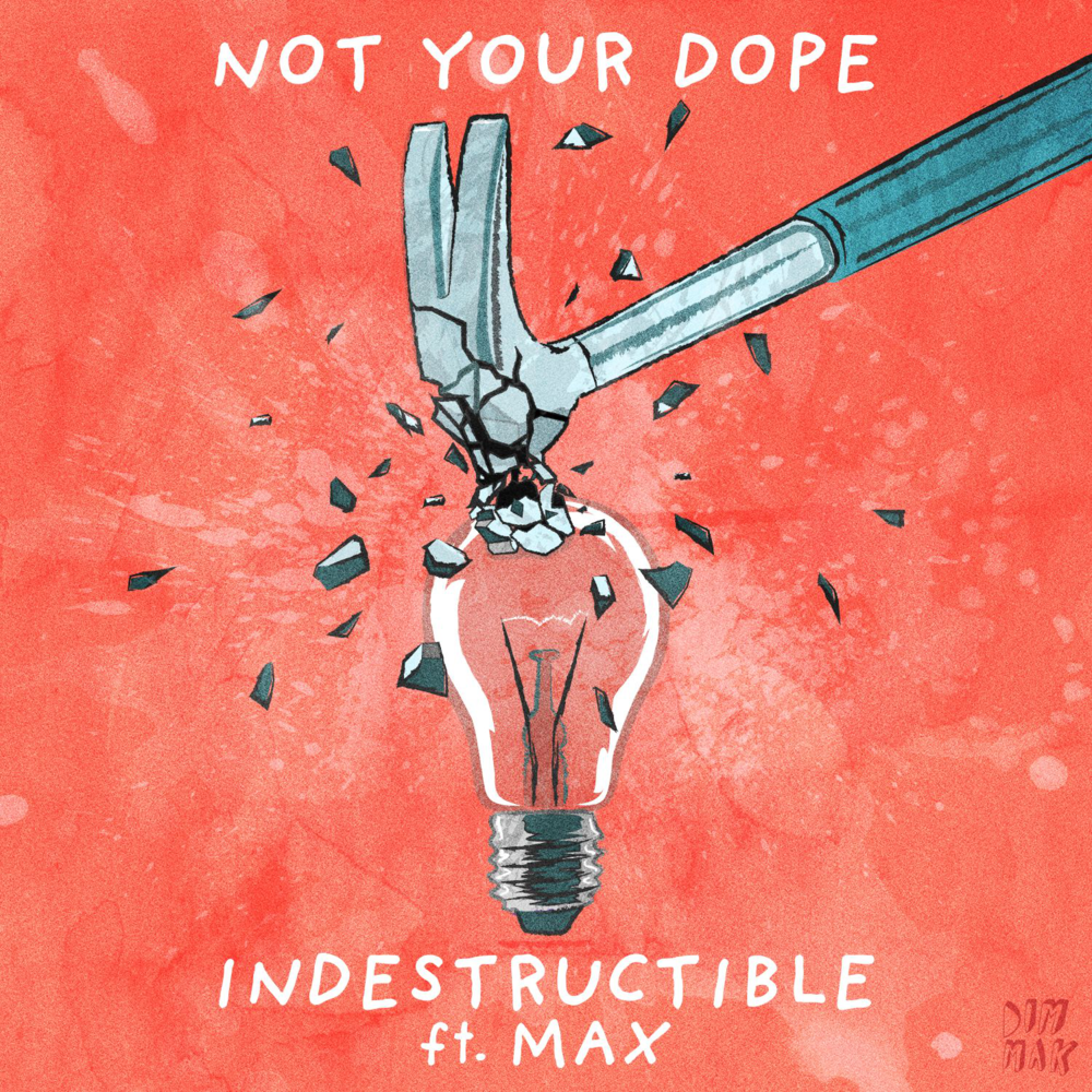 Indestructible by Not Your Dope