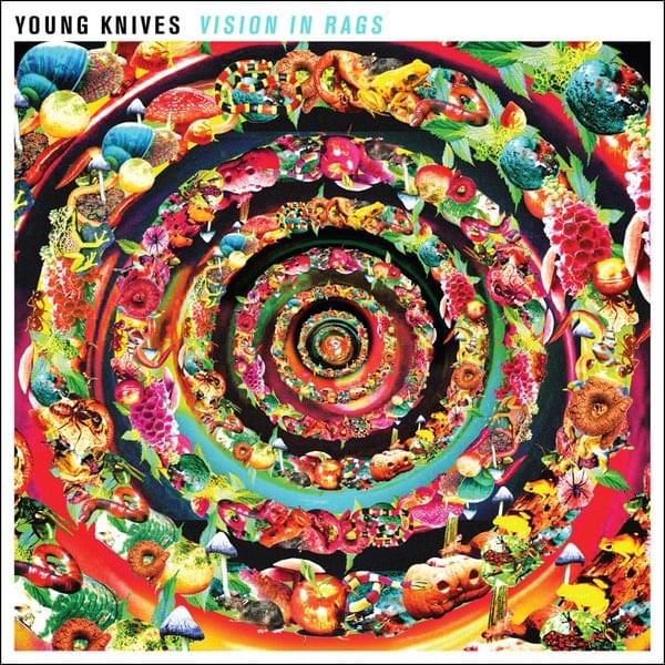 Album cover art for "Vision In Rags" by Young Knives
