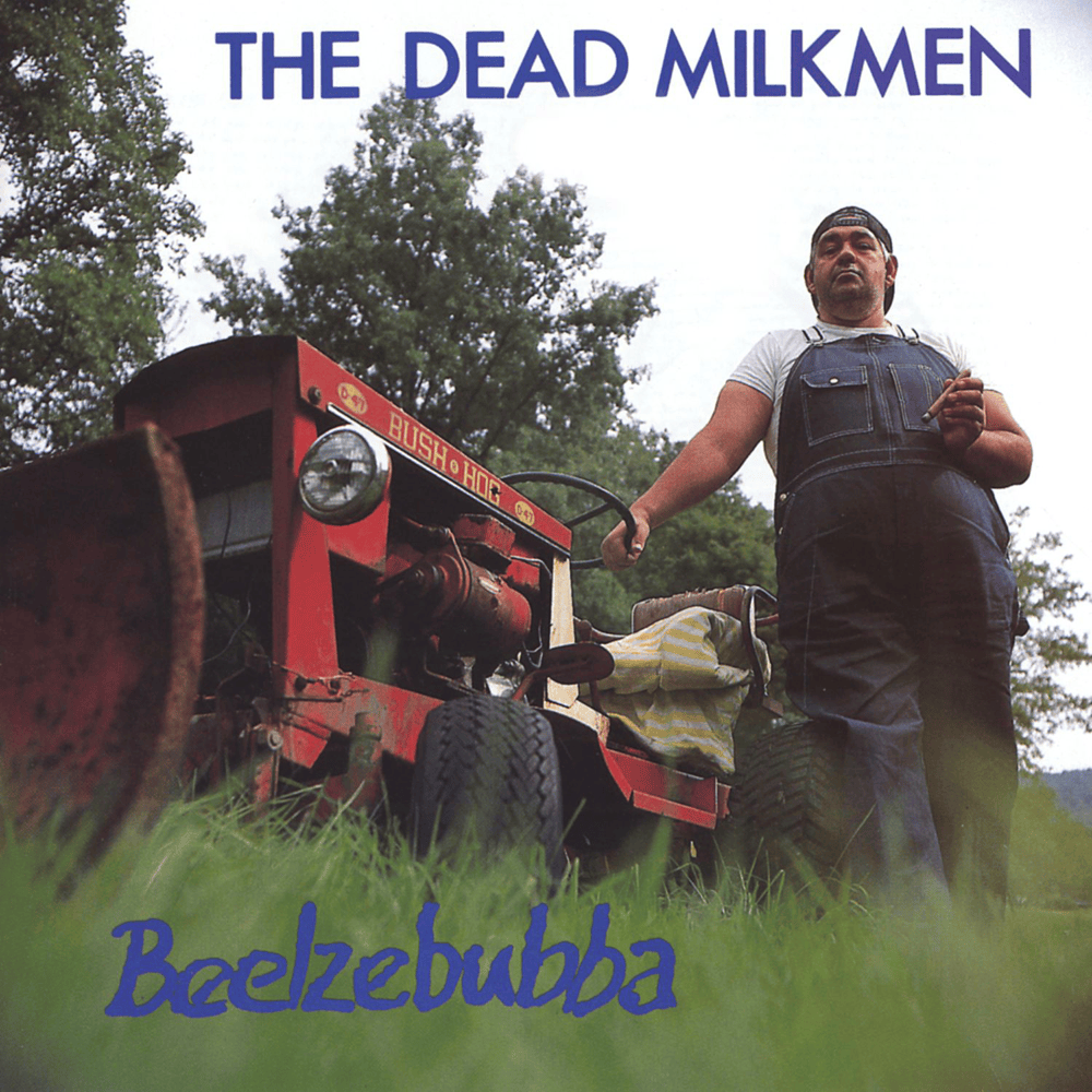 Cover image for Beelzebubba