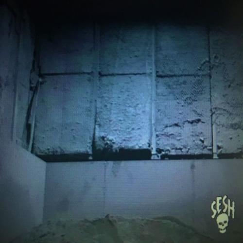 Cover image for Venn EP