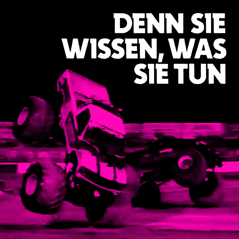 Album cover art for "Denn sie wissen, was sie tun" by Tocotronic