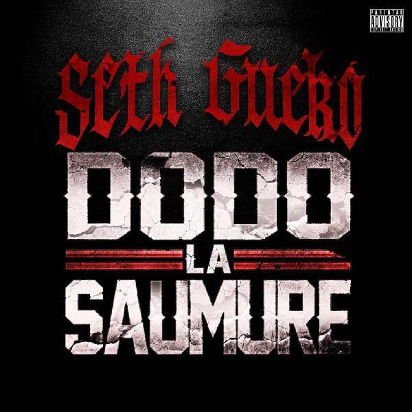 Dodo la Saumure by Seth Gueko