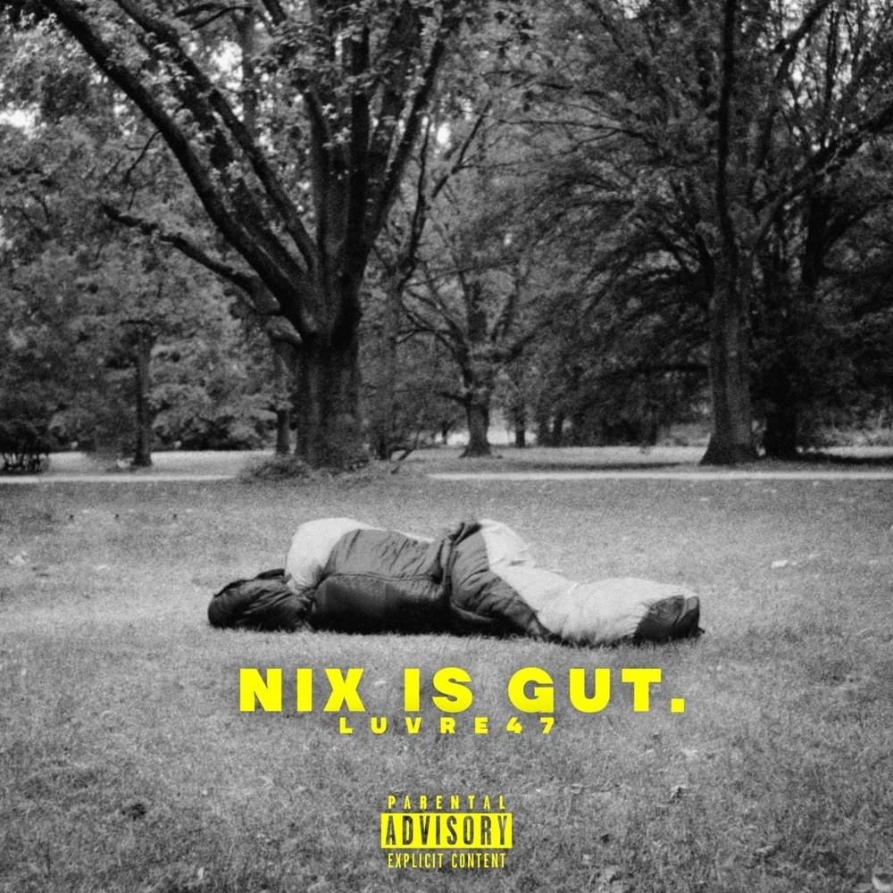 Nix is gut by Luvre47