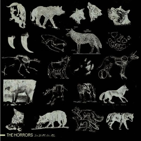 Album cover art for "She Is the New Thing" by The Horrors