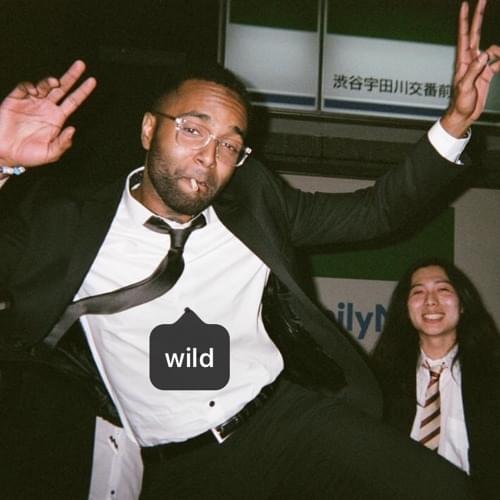 Album cover art for "Wild" by Tony Velour