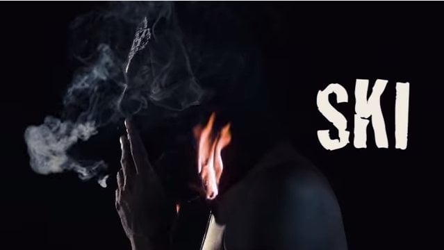 Album cover art for "Ski" by Bankroll Fresh