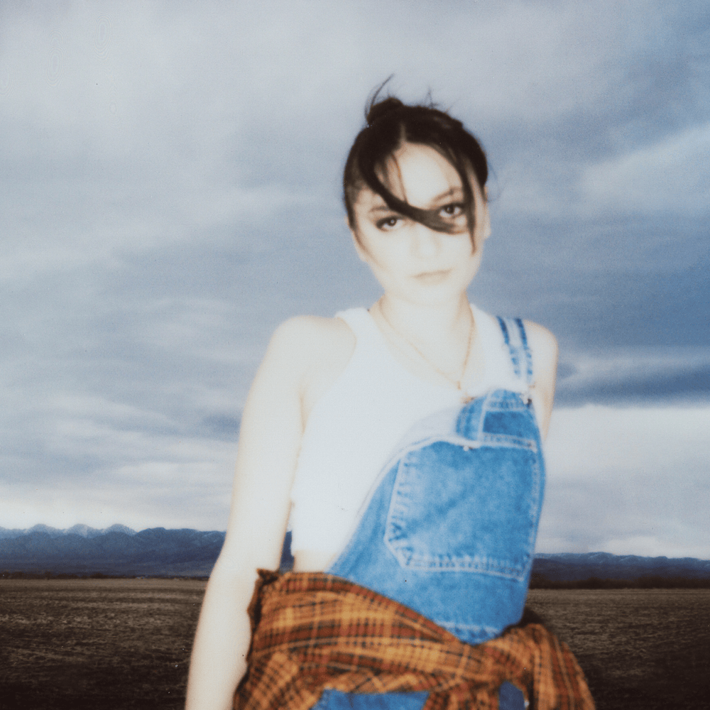 Cover image for Montana