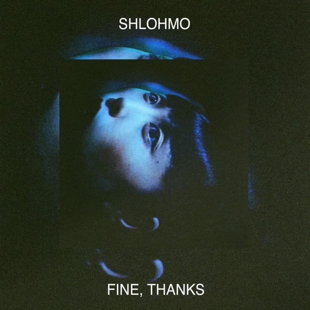 Cover image for Fine, Thanks