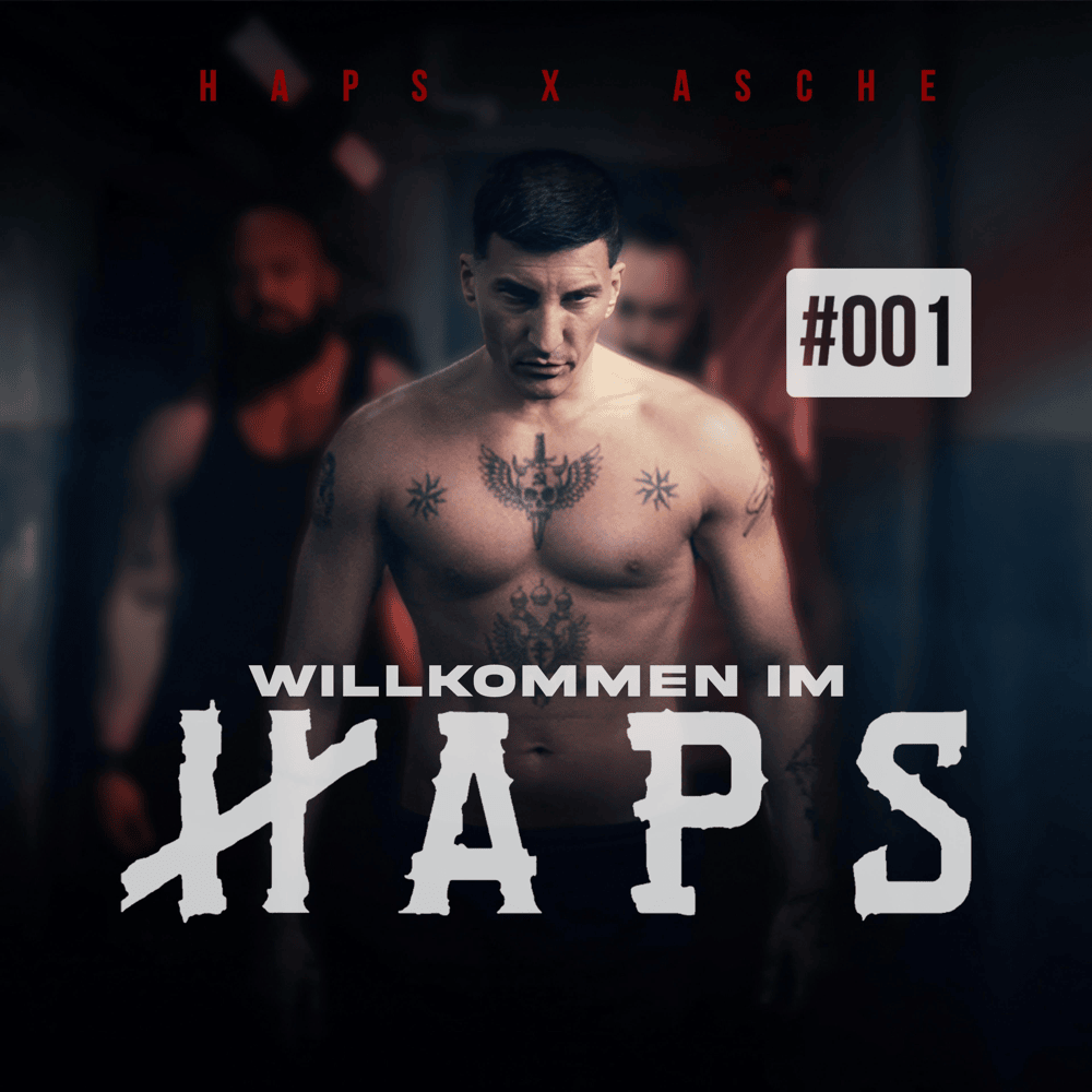 Album cover art for "Willkommen im Haps" by Asche