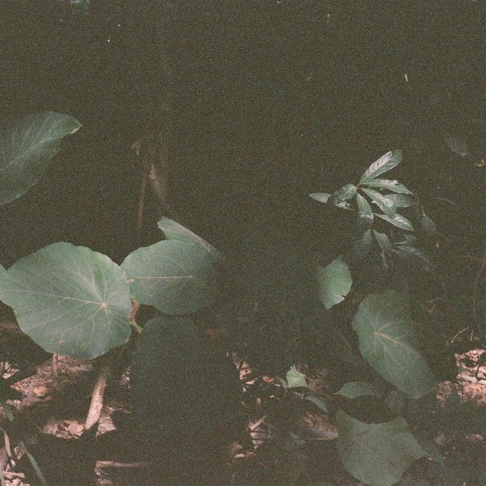 Album cover art for "你把我的 (You’ve Given My)" by my little airport