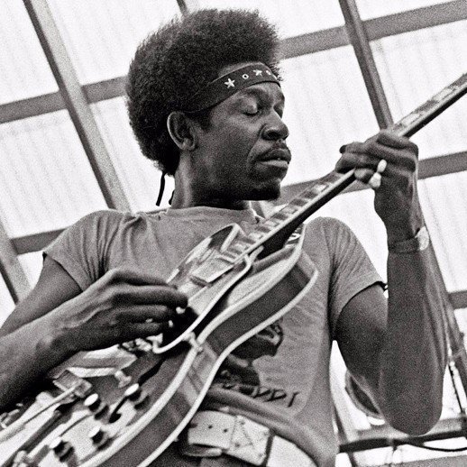 Luther Allison Profile Picture Photo of Luther Allison