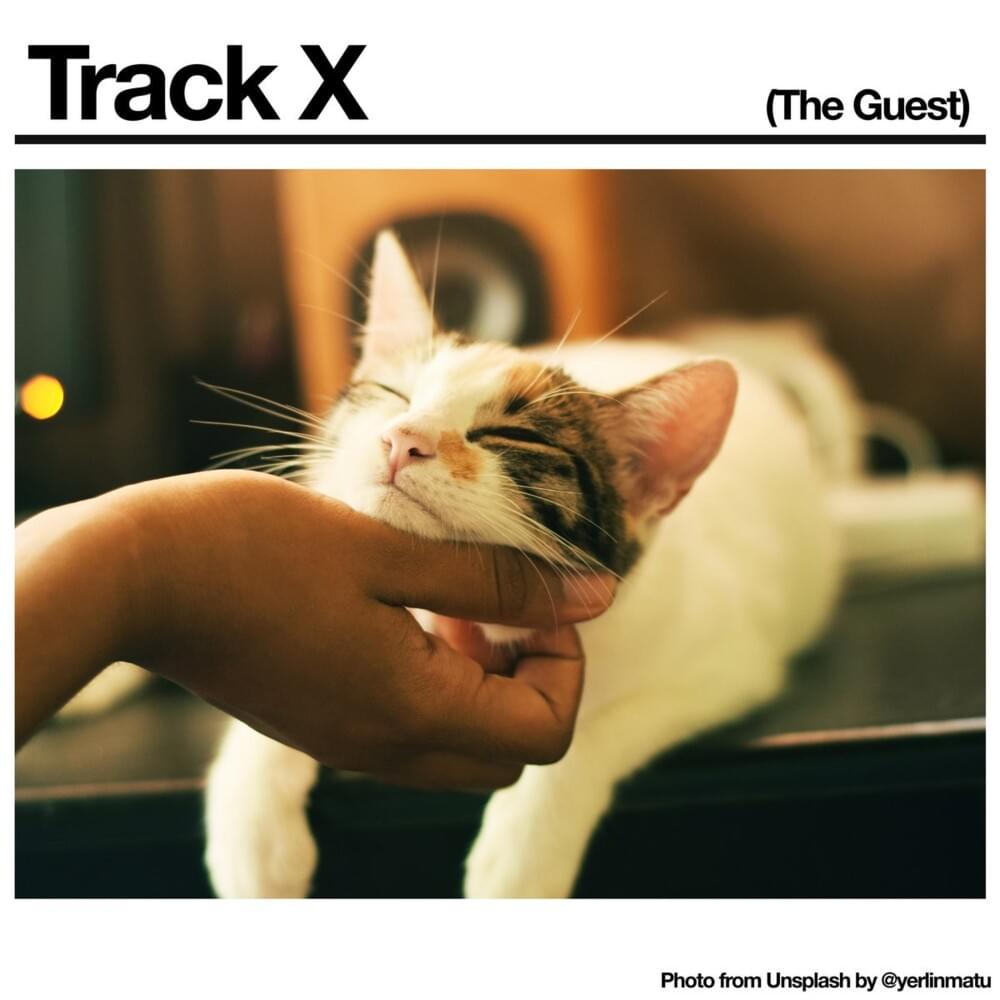 Cover image for Track X (The Guest)