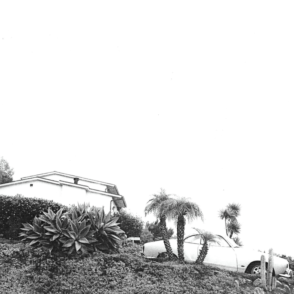 Run from Me by Timber Timbre
