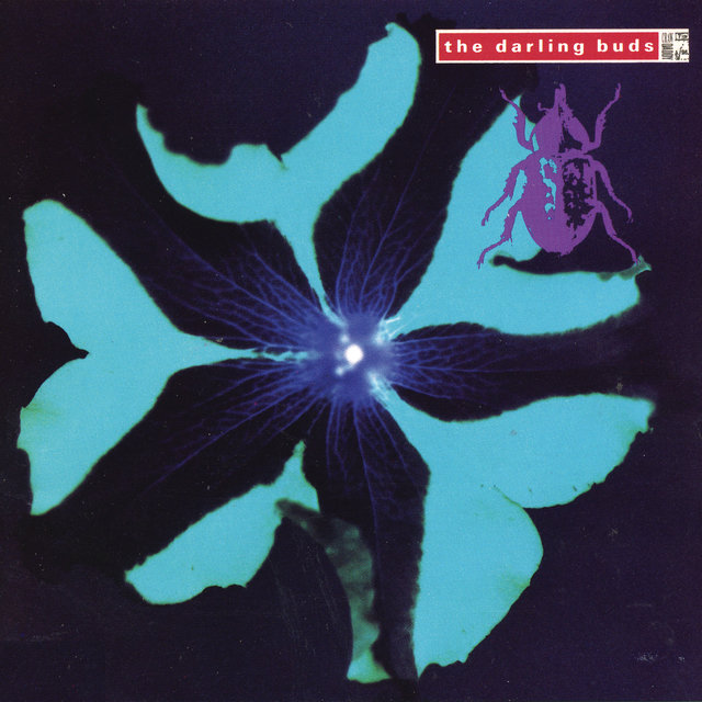 A Little Bit of Heaven by The Darling Buds