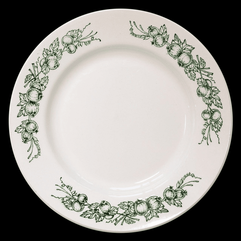 Cover image for Зелёный луч (Green Ray)