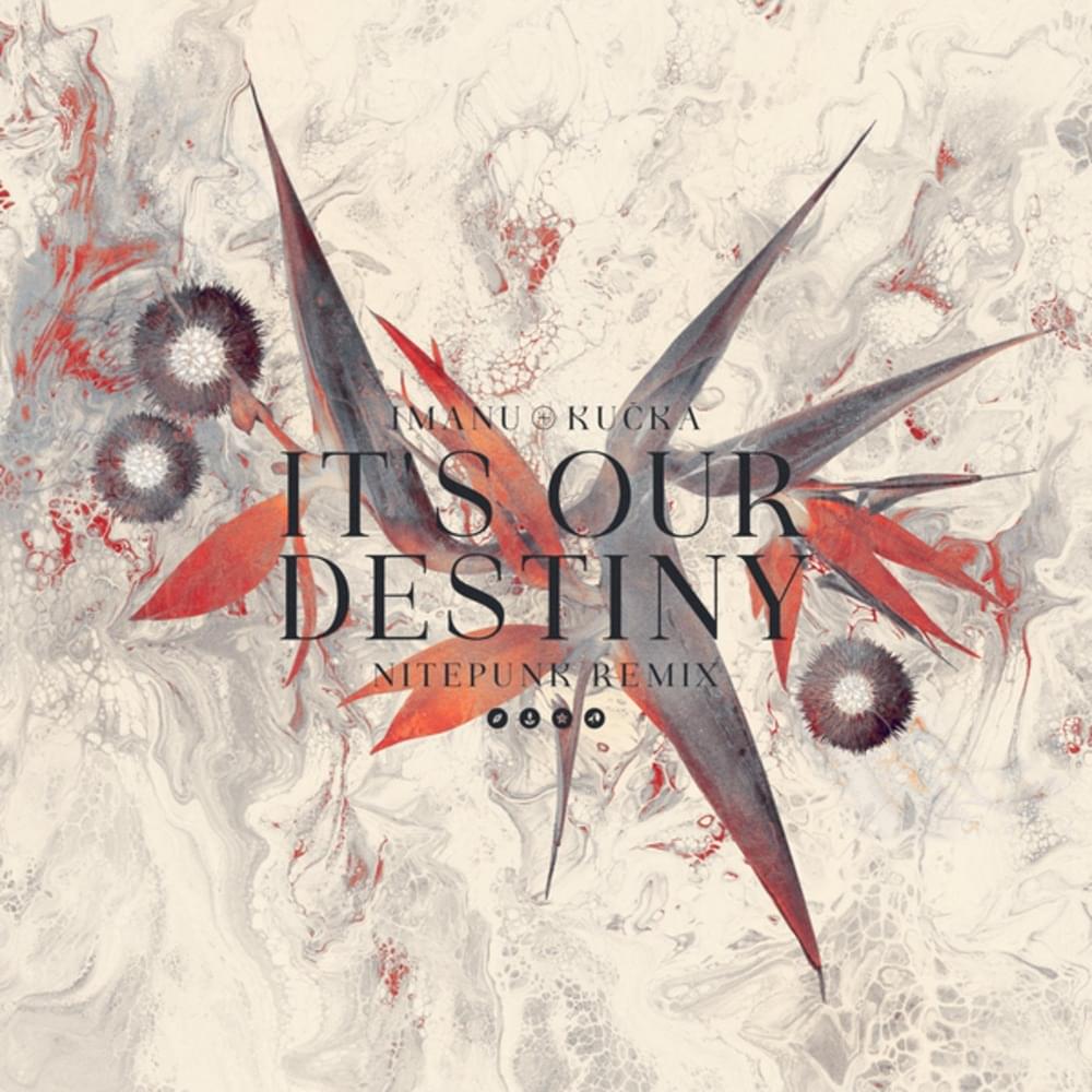 Album cover art for "It’s Our Destiny (Nitepunk Remix)" by IMANU & KUČKA
