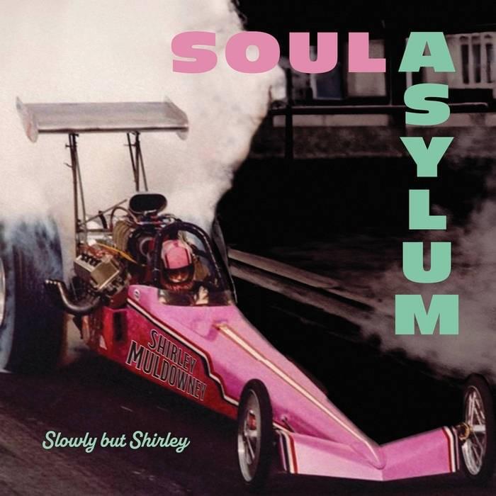Cover image for Slowly But Shirley