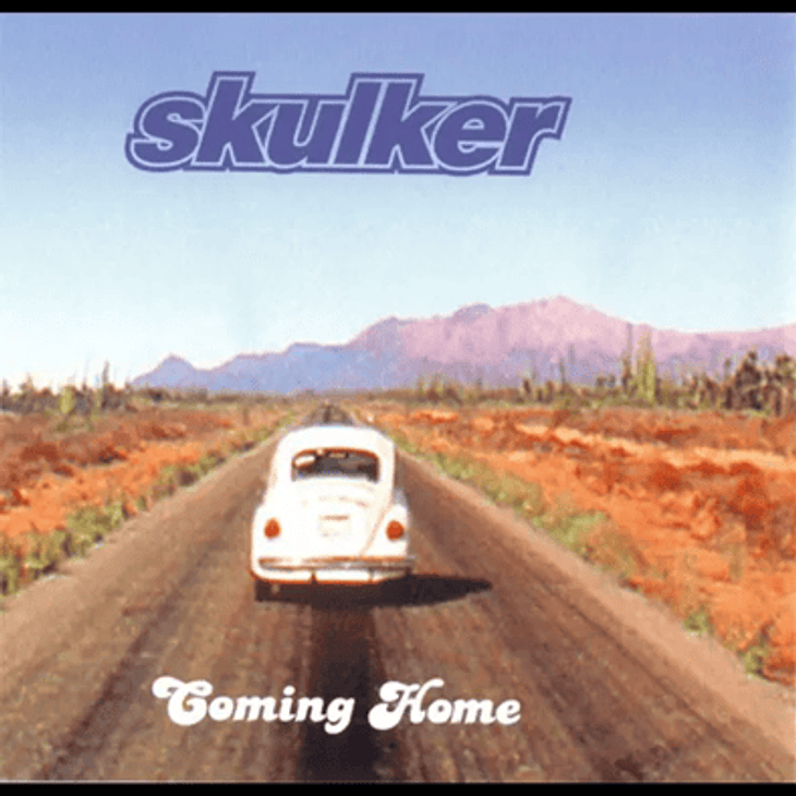 Coming Home by Skulker