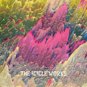 Album cover art for "Birds Fly (Whisper To A Scream)" by The Icicle Works