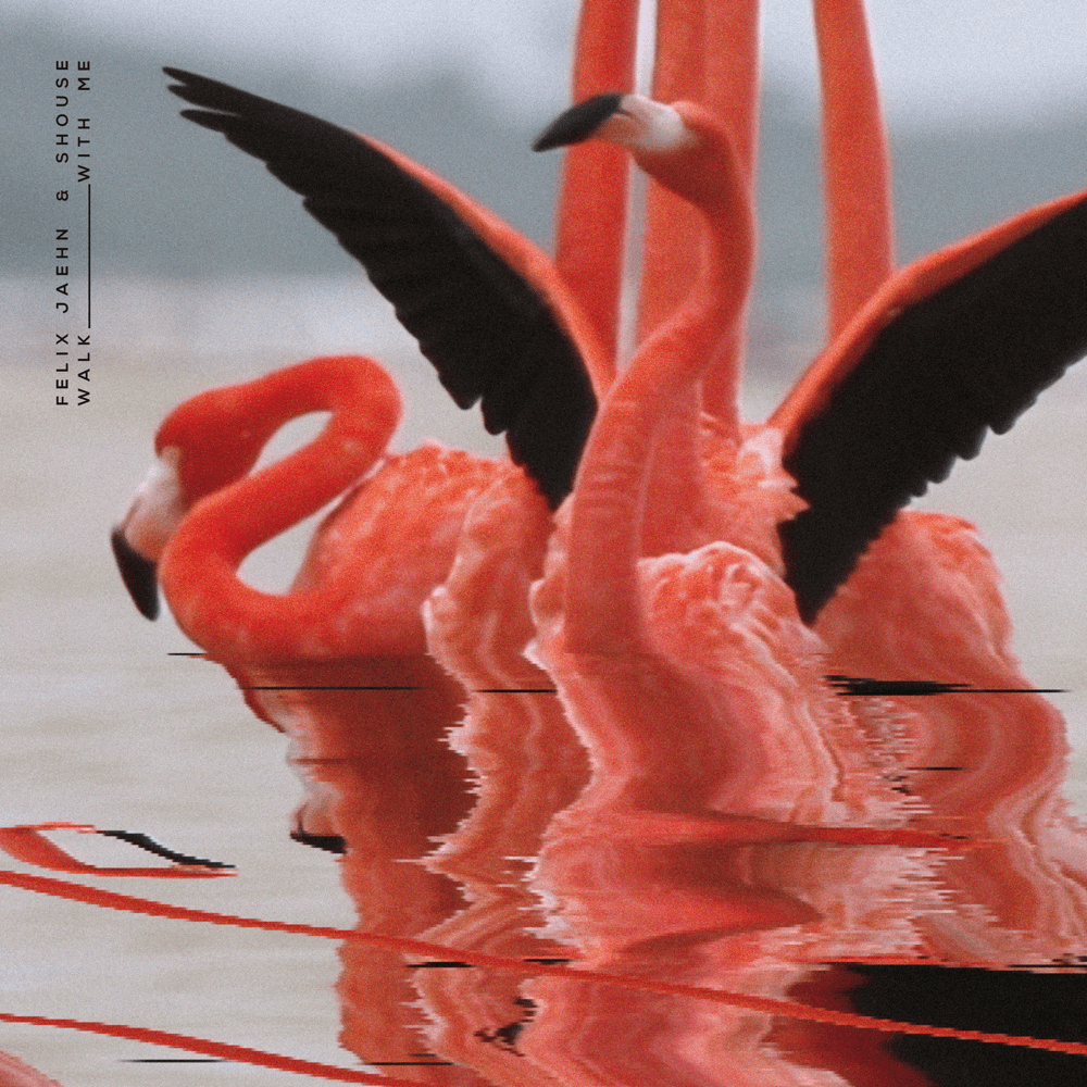 Cover image for Walk With Me