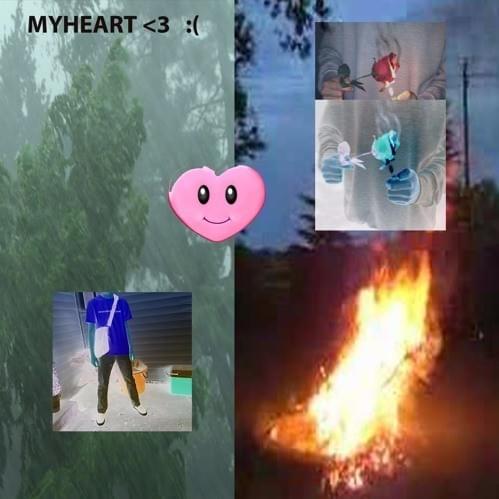 Cover image for My Heart